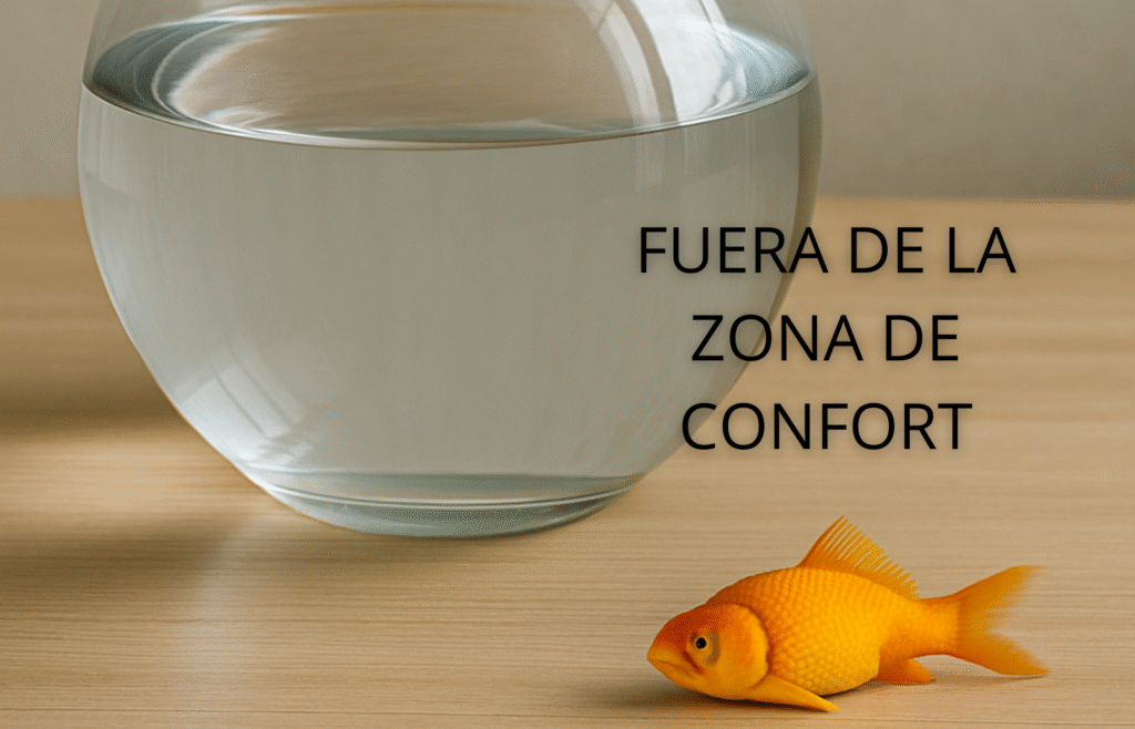 Zona de confort: ¿y si salir siempre en busca del éxito fuera una peligrosa trampa?